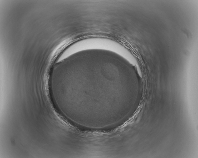 X0000115120197200911101633