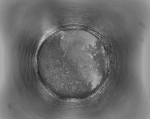 X0000115120198200911101633