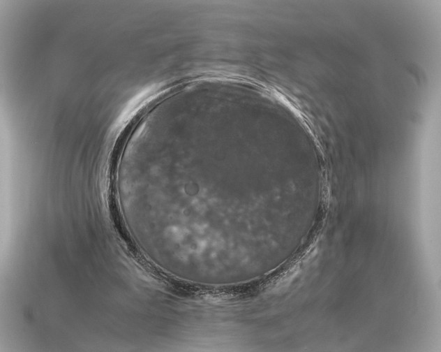 X0000115120199200911101633