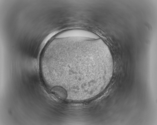 X0000115120200200911101633
