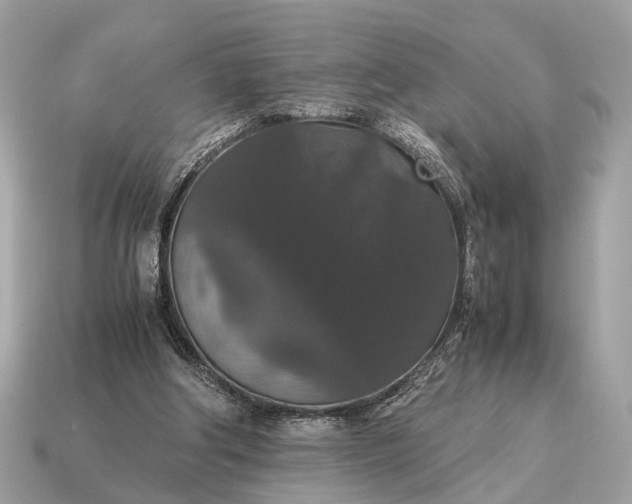 X0000115120202200911101633