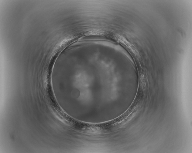 X0000115120203200911101633