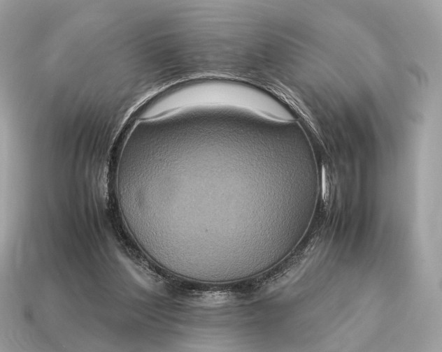 X0000115120204200911101633
