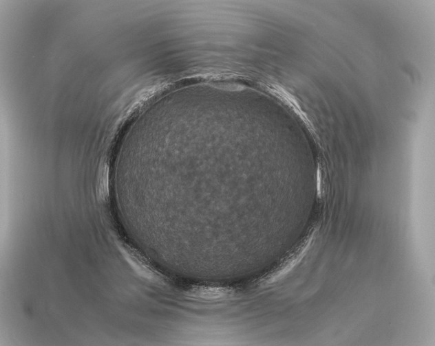 X0000115120205200911101633