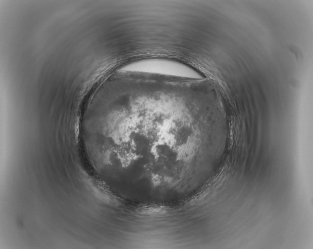 X0000115120206200911101633