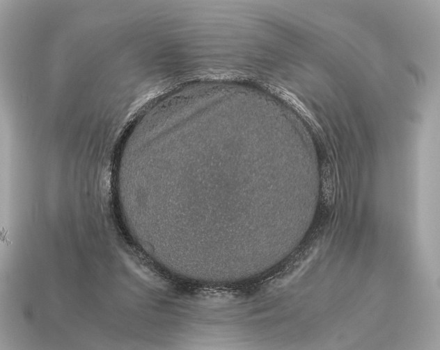 X0000115120207200911101633