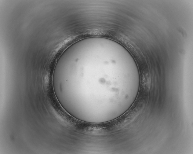 X0000115120208200911101633