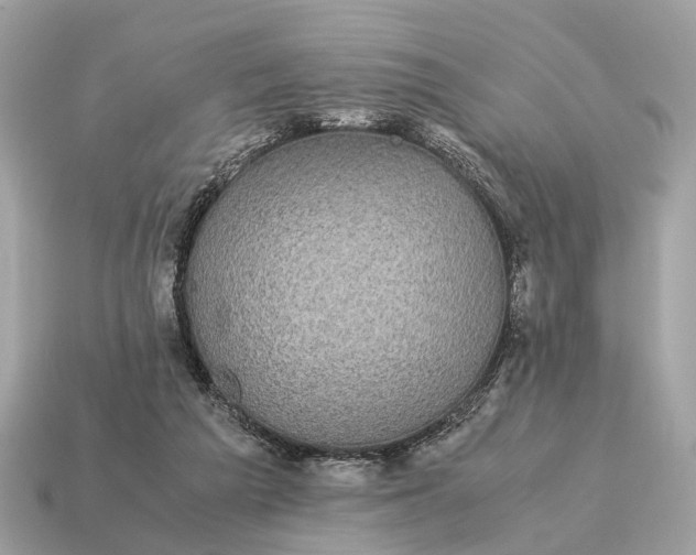 X0000115120209200911101633