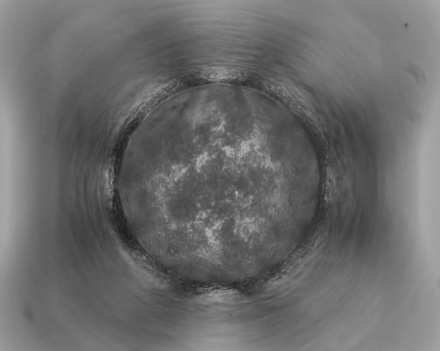 X0000115120210200911101633