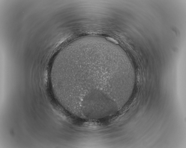 X0000115120211200911101633