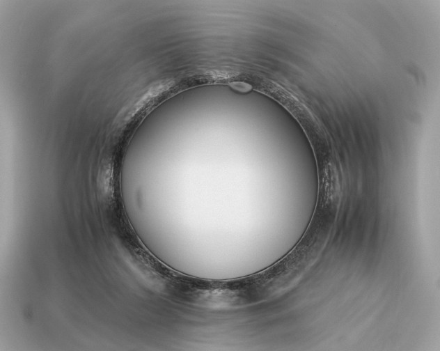 X0000115120212200911101633
