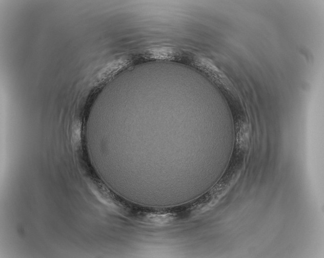 X0000115120213200911101633