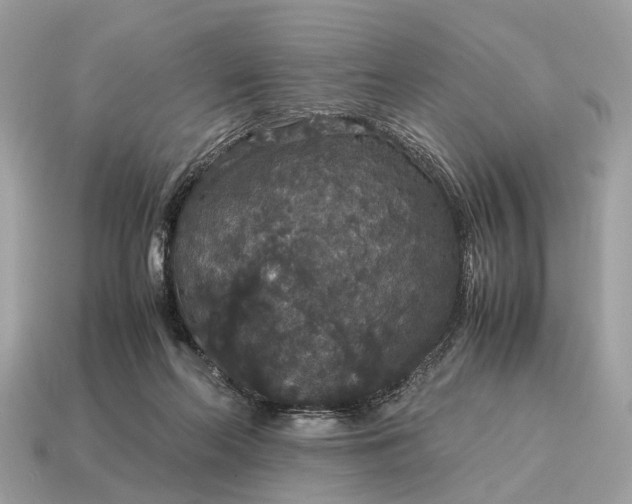 X0000115120214200911101633