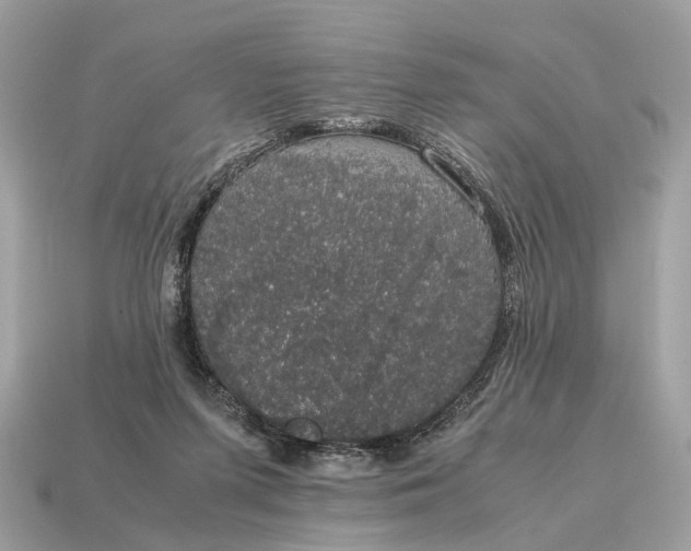 X0000115120215200911101633