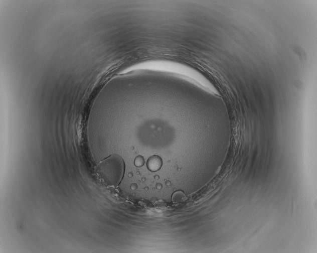 X0000115120216200911101633