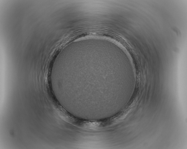X0000115120217200911101633