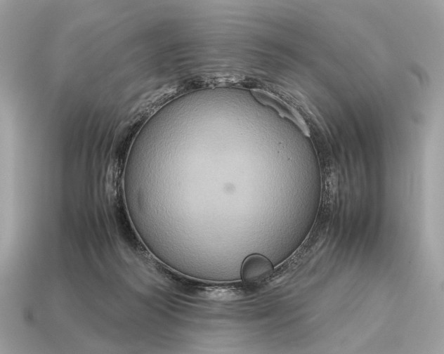 X0000115120218200911101633