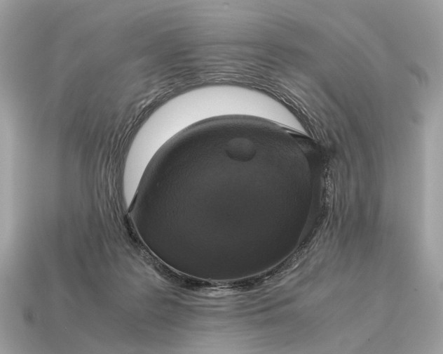 X0000115120219200911101633