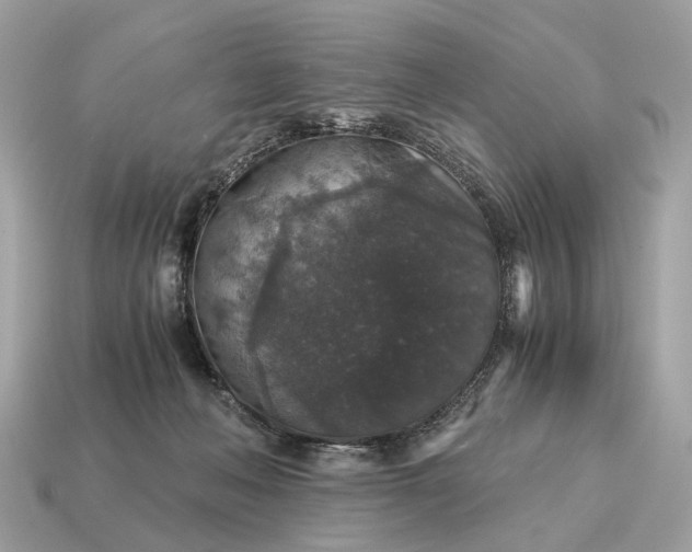X0000115120222200911101633