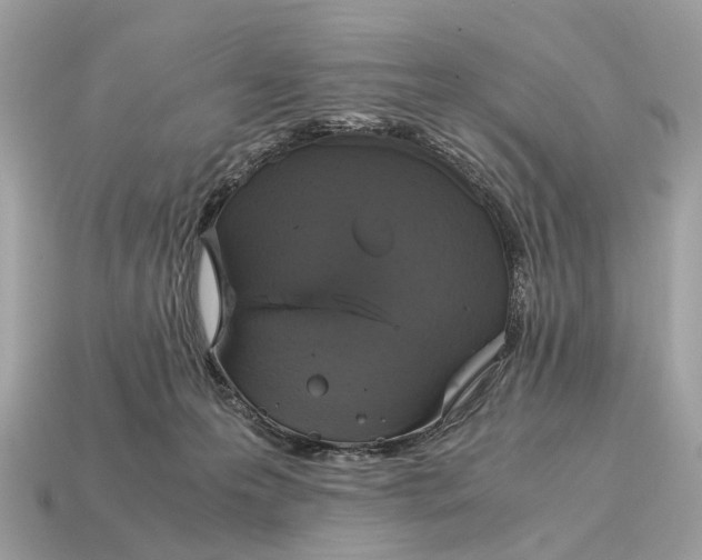 X0000115120223200911101633
