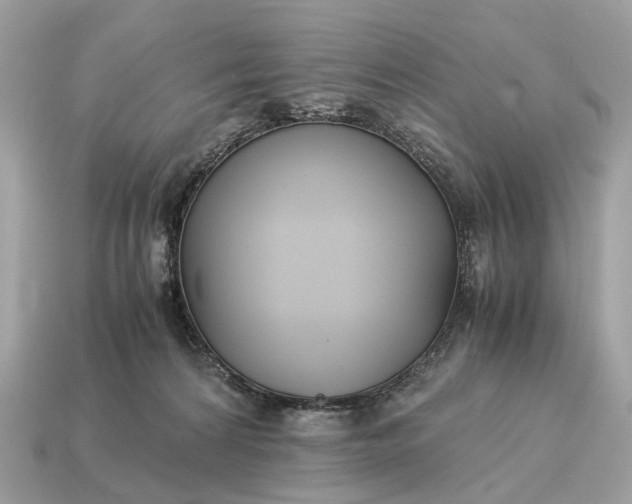 X0000115120224200911101633
