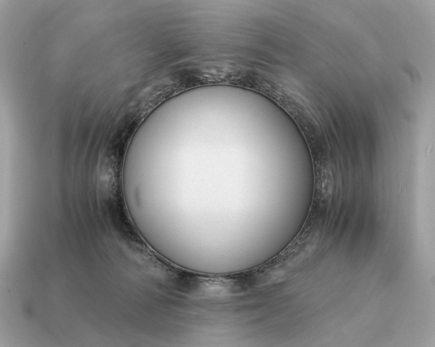 X0000115120226200911101633