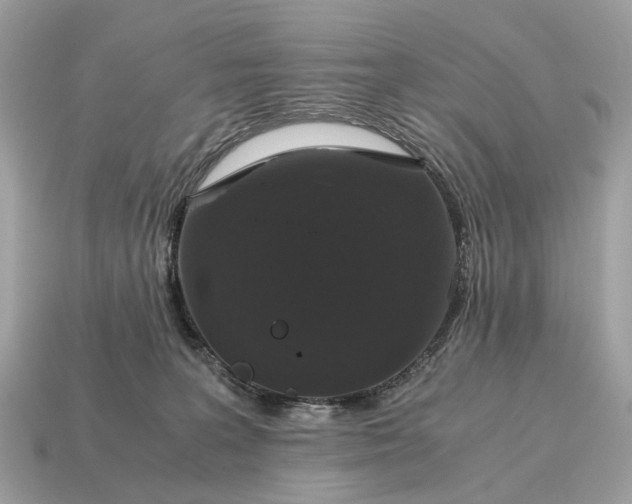 X0000115120227200911101633