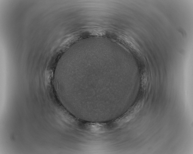 X0000115120229200911101633