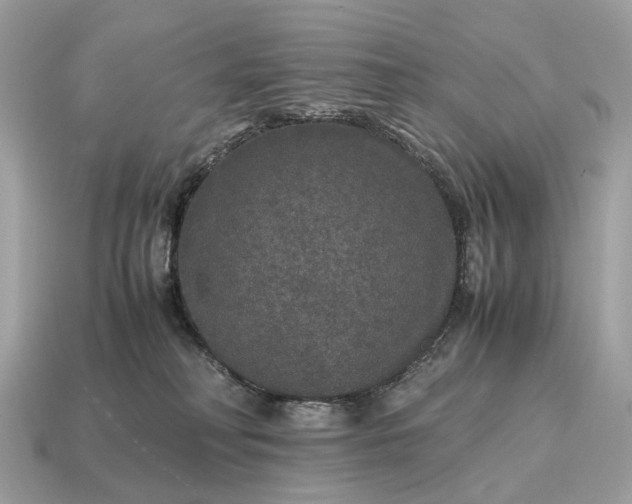 X0000115120230200911101633