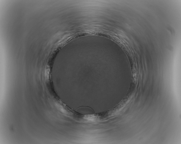 X0000115120231200911101633