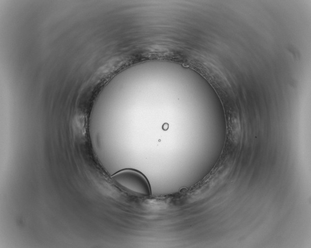 X0000115120232200911101633