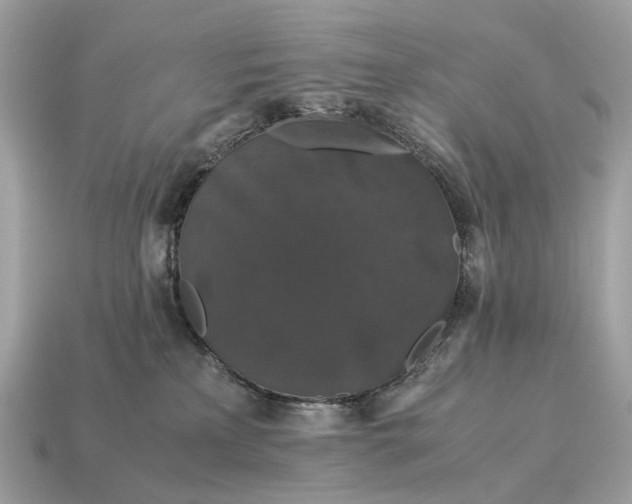 X0000115120233200911101633