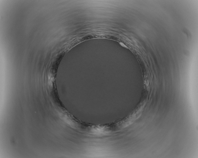 X0000115120235200911101632
