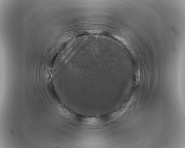 X0000115120237200911101632