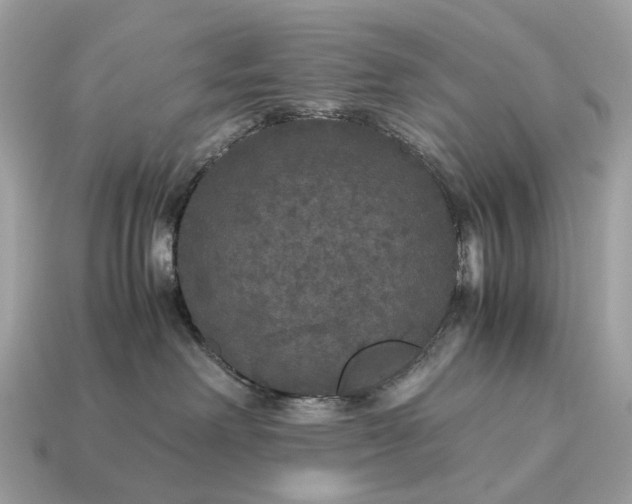 X0000115120238200911101632