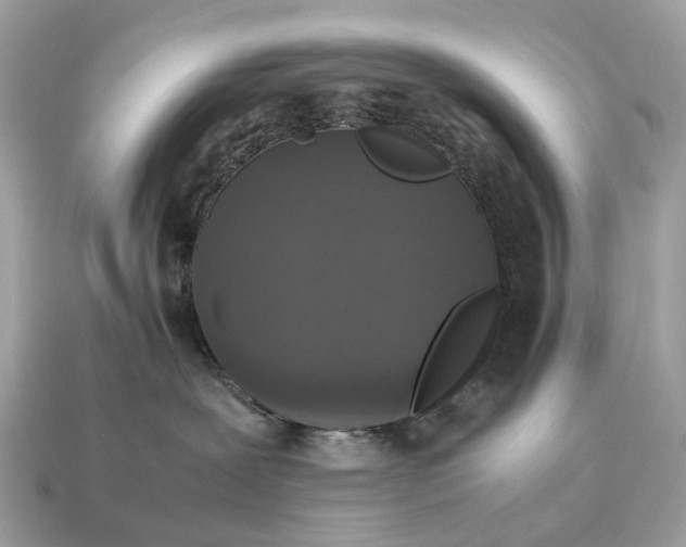 X0000115120239200911101632