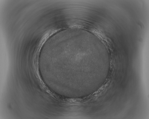 X0000115120241200911101632