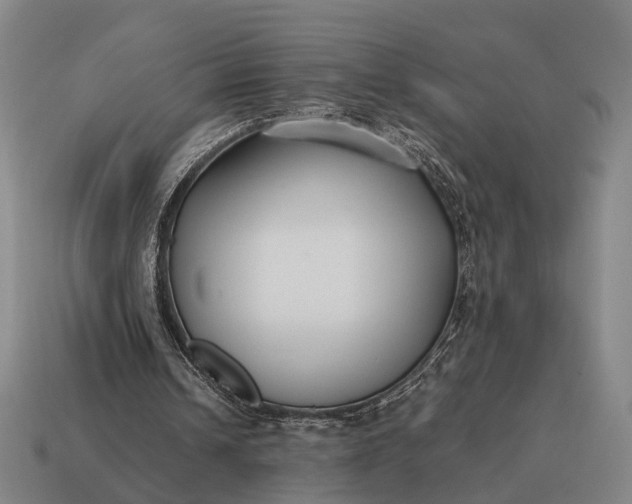 X0000115120242200911101632