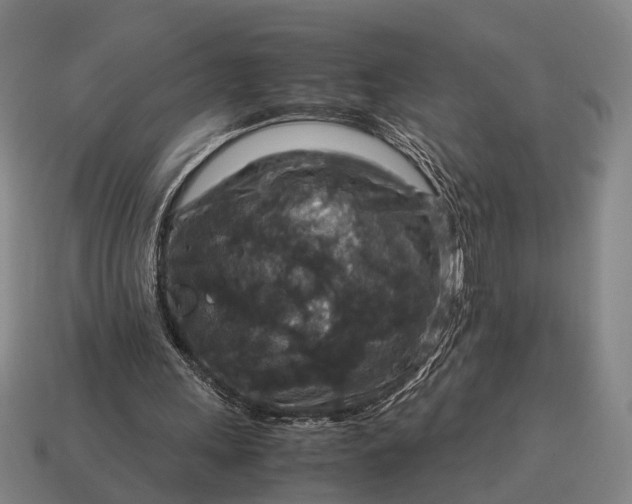 X0000115120243200911101632