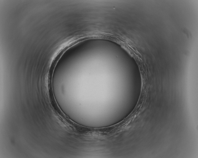 X0000115120244200911101632