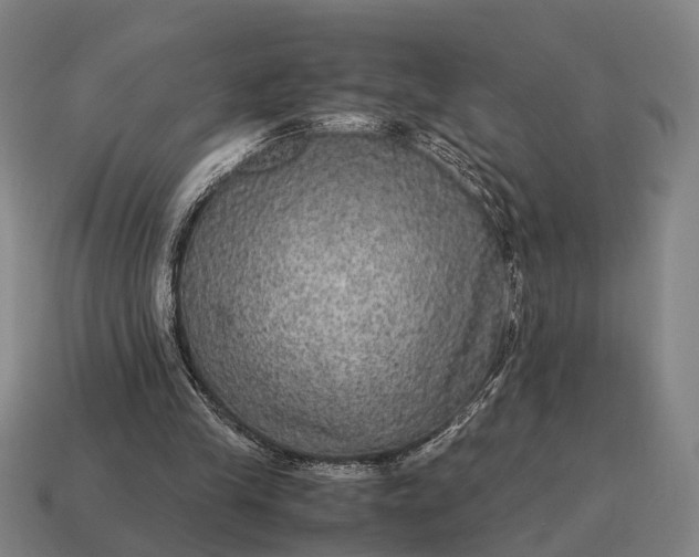 X0000115120245200911101632