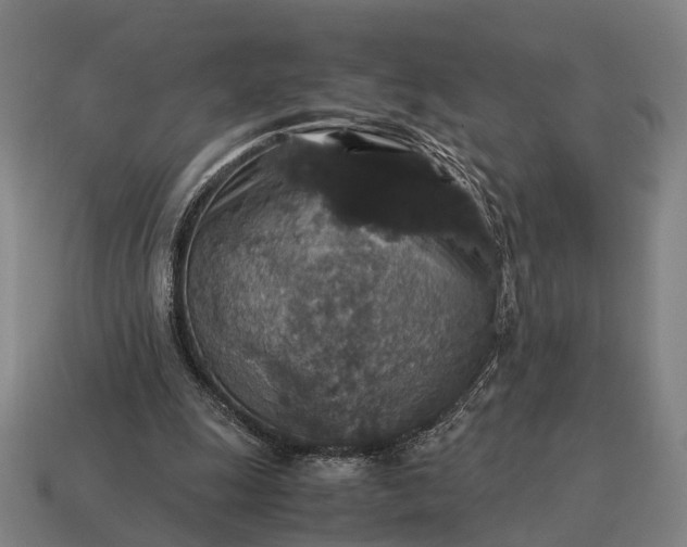X0000115120247200911101632