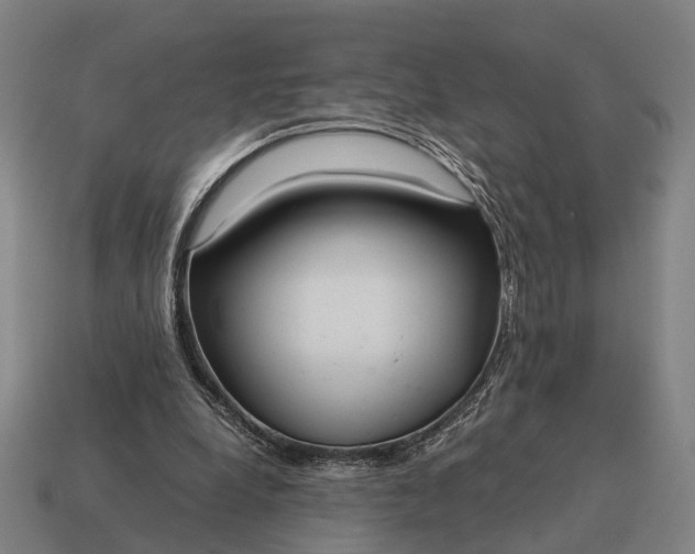 X0000115120248200911101632