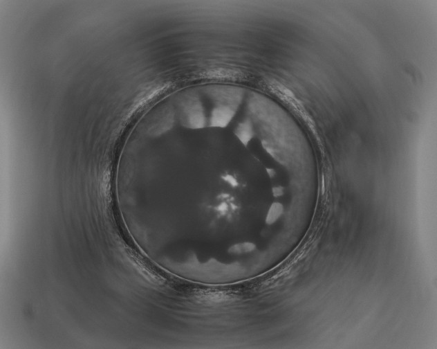 X0000115120249200911101632