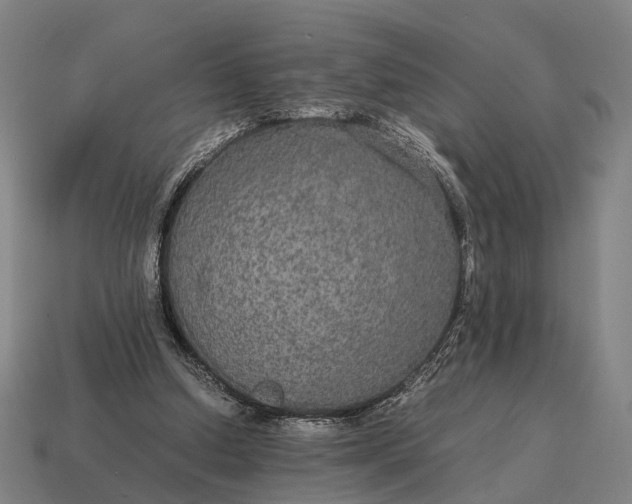 X0000115120250200911101632