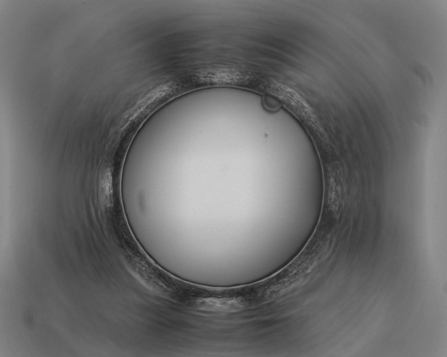 X0000115120251200911101632