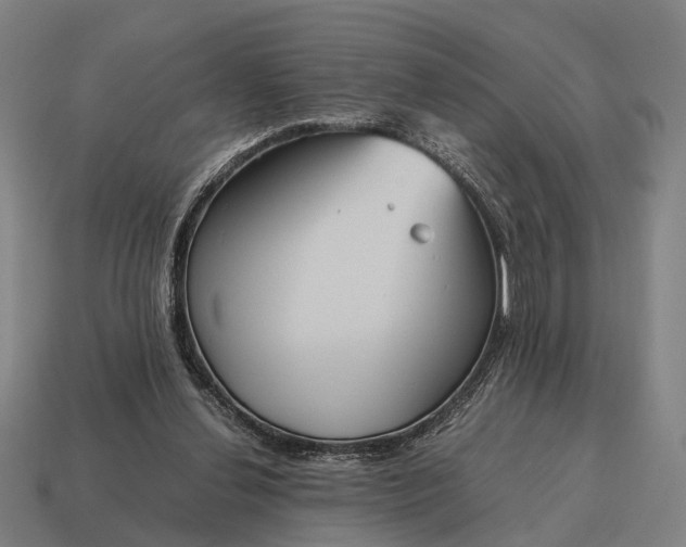 X0000115120252200911101632