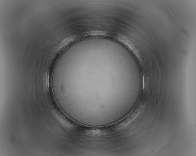 X0000115120253200911101632