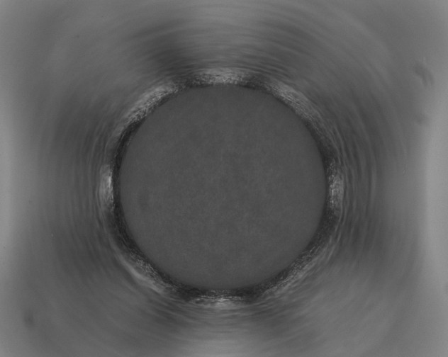 X0000115120254200911101632