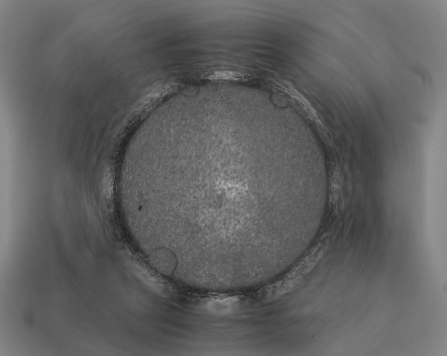 X0000115120257200911101632